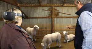 Mixed Reality used to spot sheep diseases